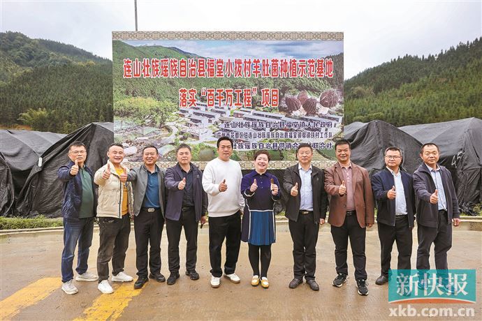 广州市花都区驻清远市连山福堂镇帮镇扶村工作队贯通产加销助推羊肚菌