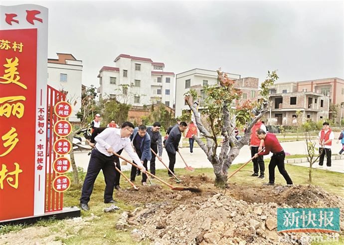 绿美吴川赋能高质量发展