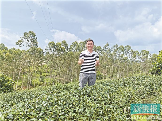 驻湛江廉江市石角镇工作队队员李永久:挖掘乡村潜力 新农人迈向高质量