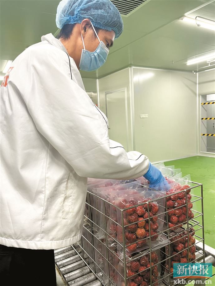 一颗小荔枝 做成“大产业”-新快网-新快报官方网站
