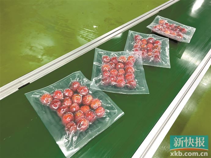 一颗小荔枝 做成“大产业”-新快网-新快报官方网站