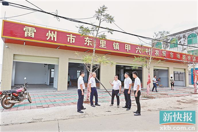 湛江雷州东里镇图片